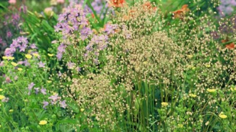 Прекрасна бриза