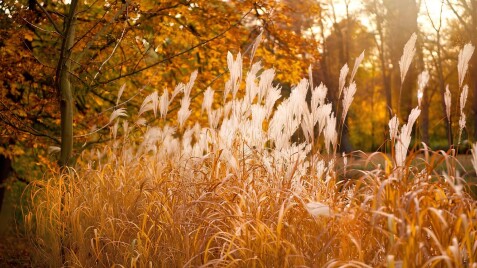Фінальні знижки сезону