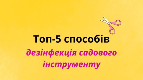 Дезінфекція садового інструменту: ТОП-5 найкращих способів