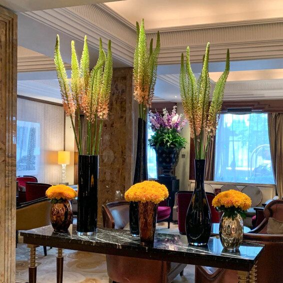 Эремурус 'Cleopatra' - 5