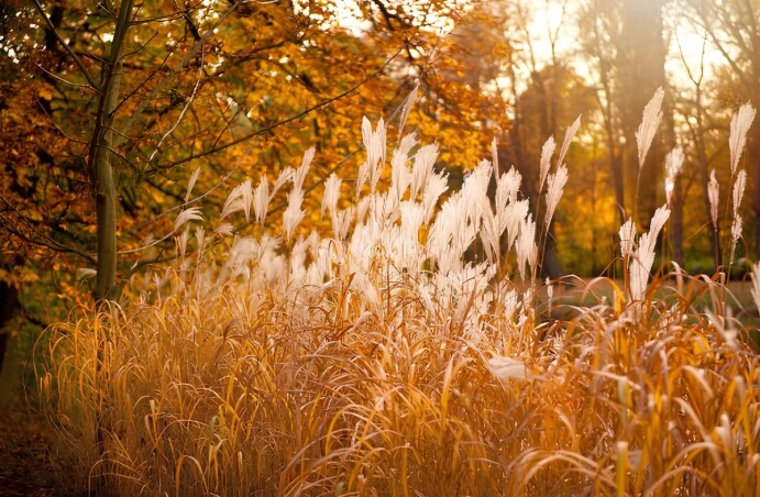 Фінальні знижки сезону Фінальні знижки сезону