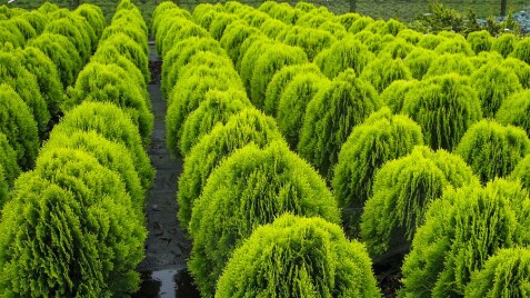 ЛІТО ЗНИЖОК У ІНТЕРНЕТ-МАГАЗИНІ ТРИВАЄ!