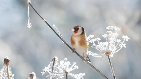 Оновлений графік роботи Садового центру