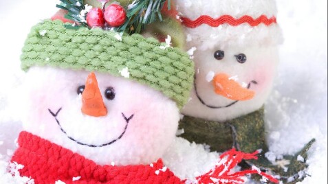 Оновлений графік роботи Садового центру