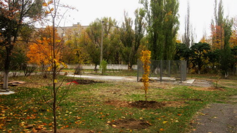 О благотворительной акции для 6-й больницы