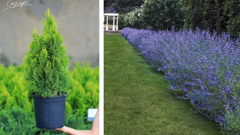 Акції початку літа: знижки та подарунки