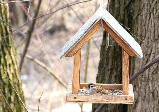 Годівнички для пташок своїми руками: 7 простих ідей