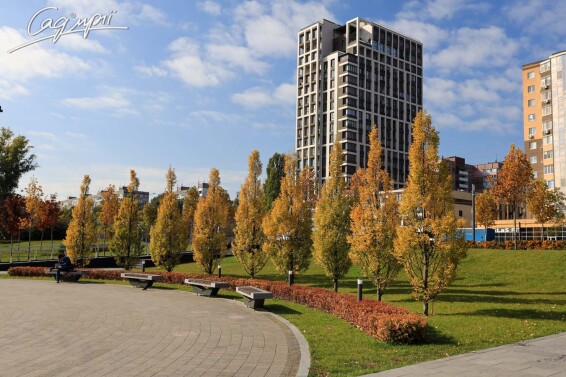 Граб обыкновенный 'Fastigiata' - 8 Граб обыкновенный 'Fastigiata' - 8